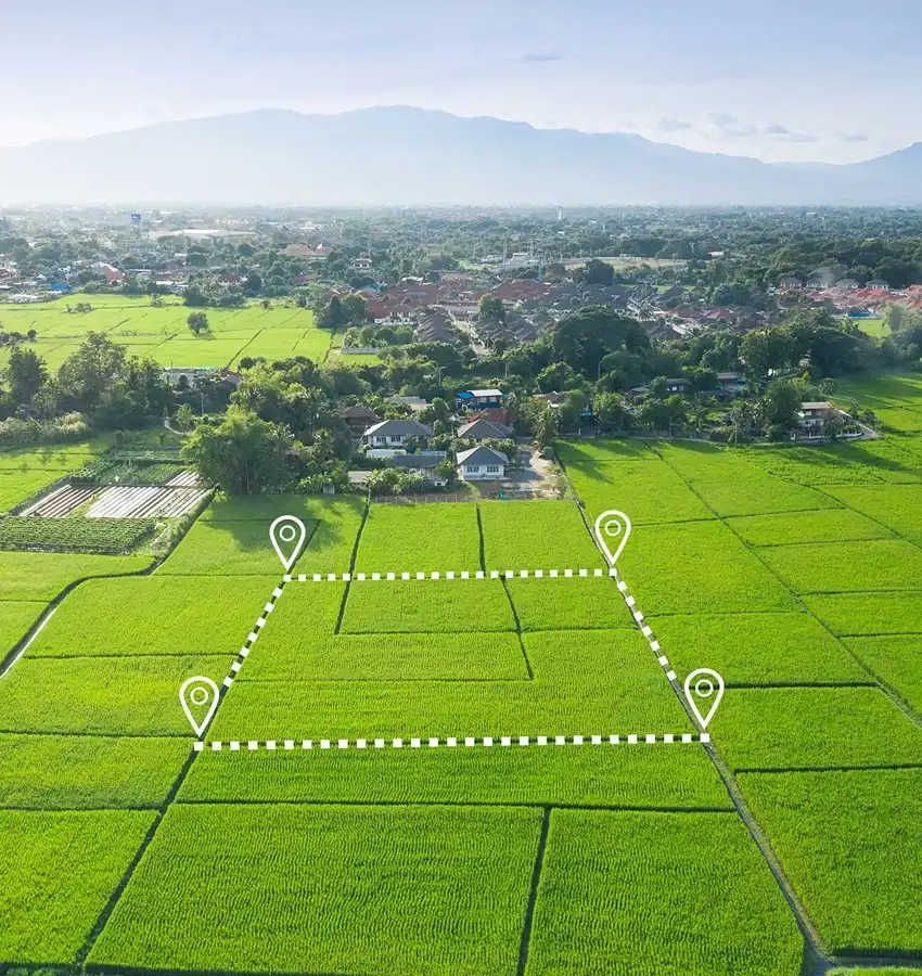 organic farmland in karnataka