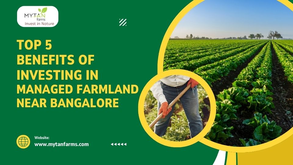 investing in managed farmland