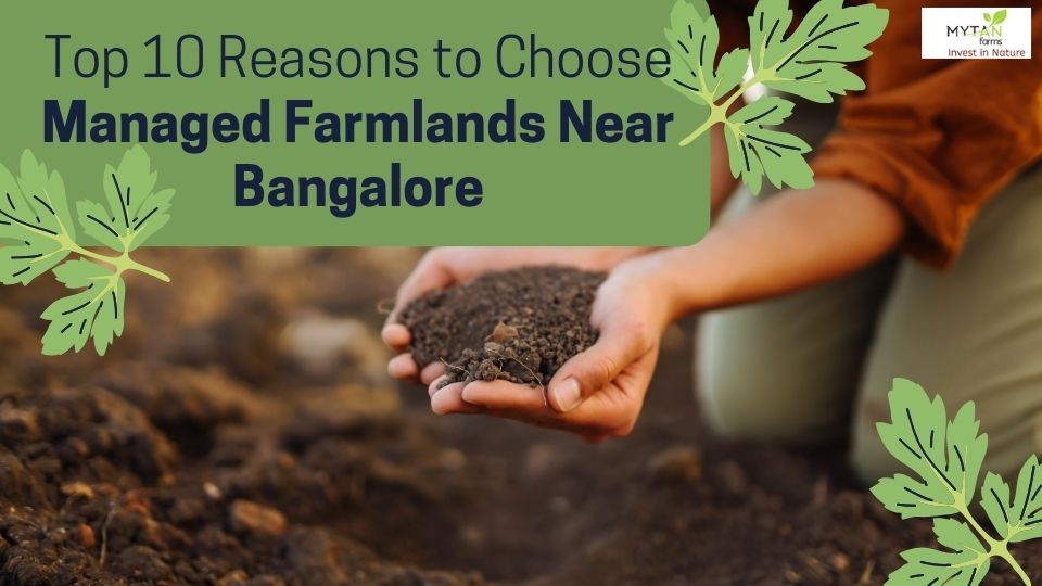 managed farmlands near bangalore