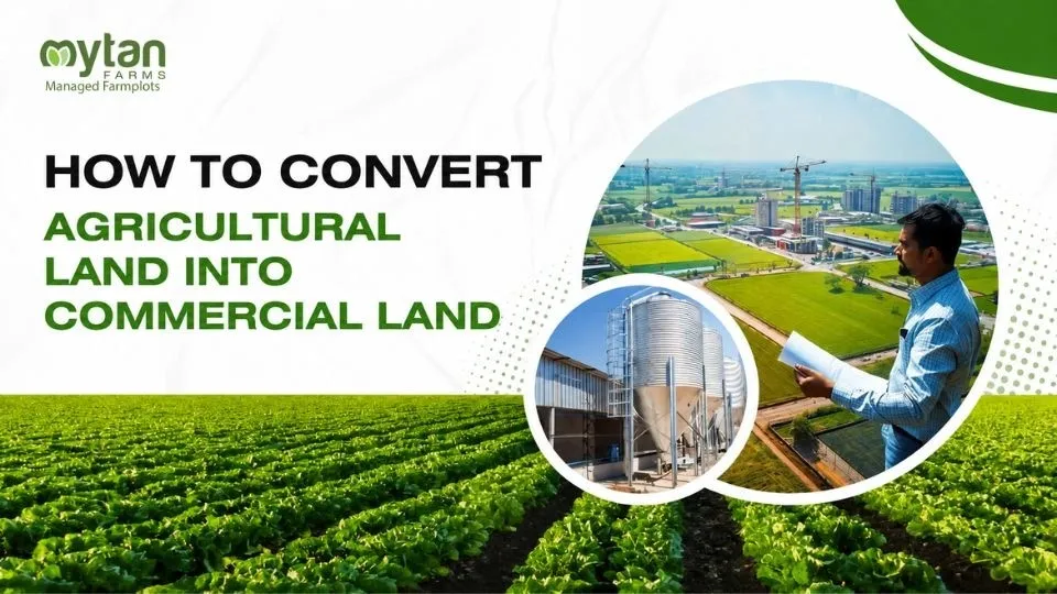 agricultural land into commerical land
