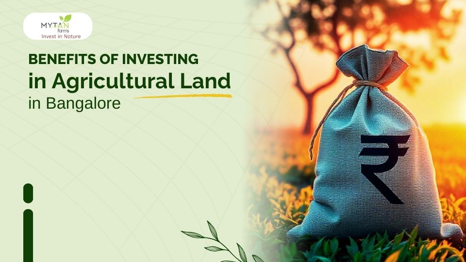 investing in agricultural land in bangalore