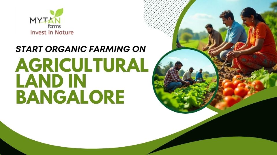 organic farming on agricultural