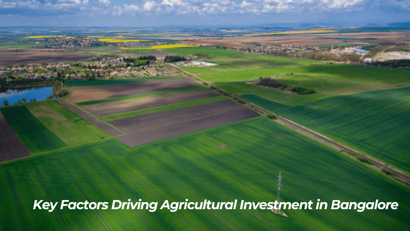 Key Factors Driving Agricultural Investment in Bangalore