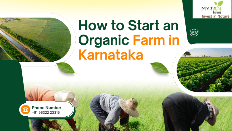 How to Start an Organic Farm in Karnataka A Step-by-Step Guide