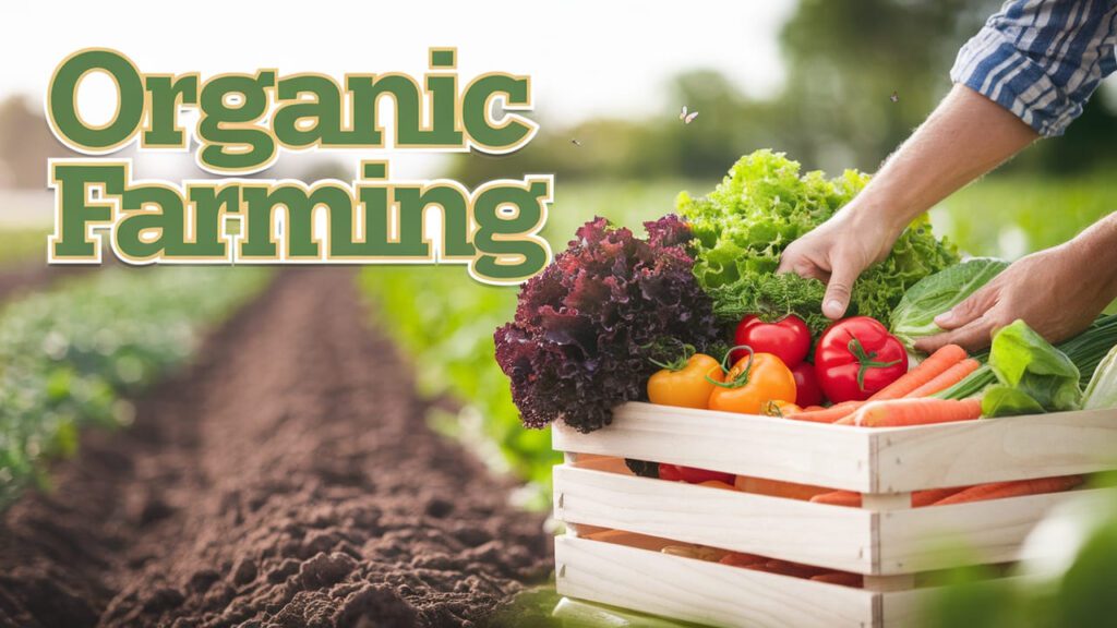 What Exactly is Organic Farming?