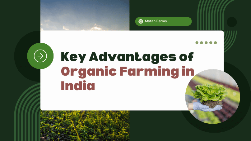 Key Advantages of Organic Farming in India