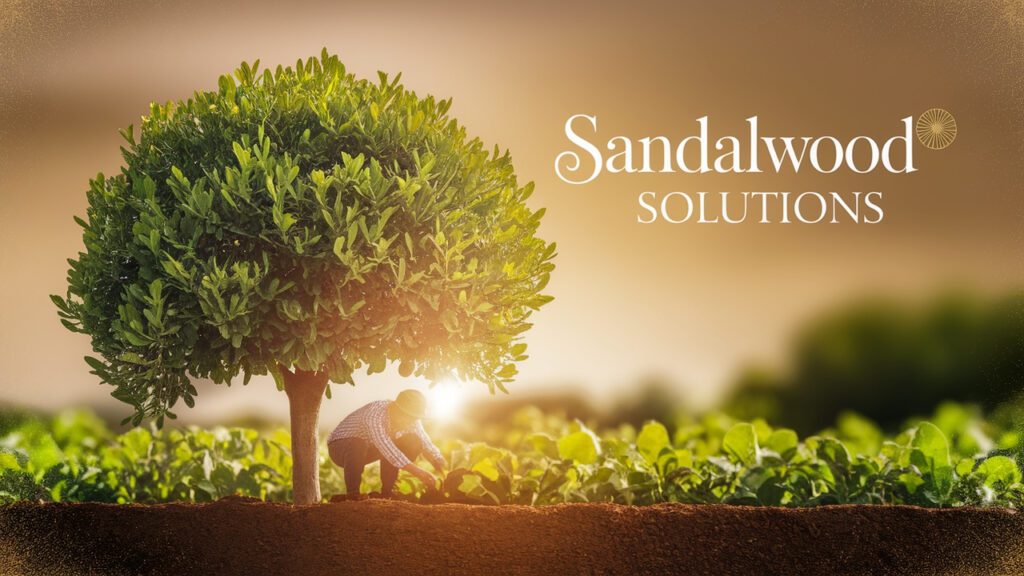 Common Challenges & Solutions