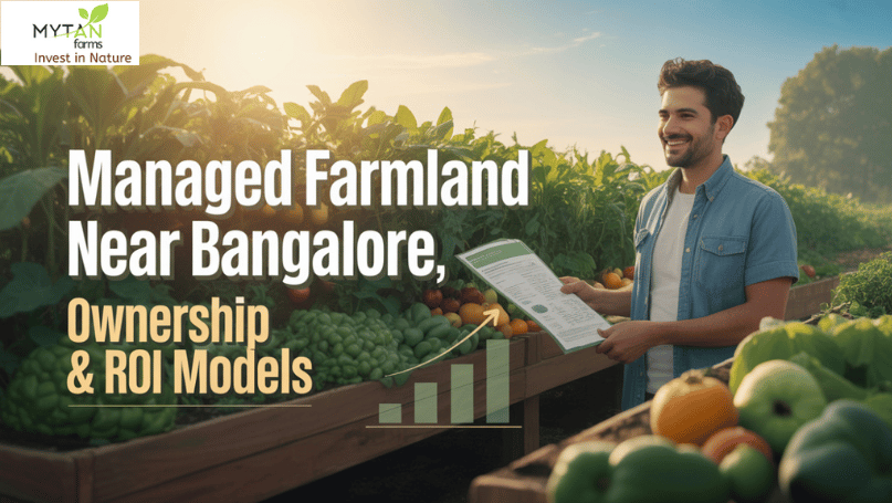 Exploring Managed Farmland Near Bangalore Ownership & ROI Models