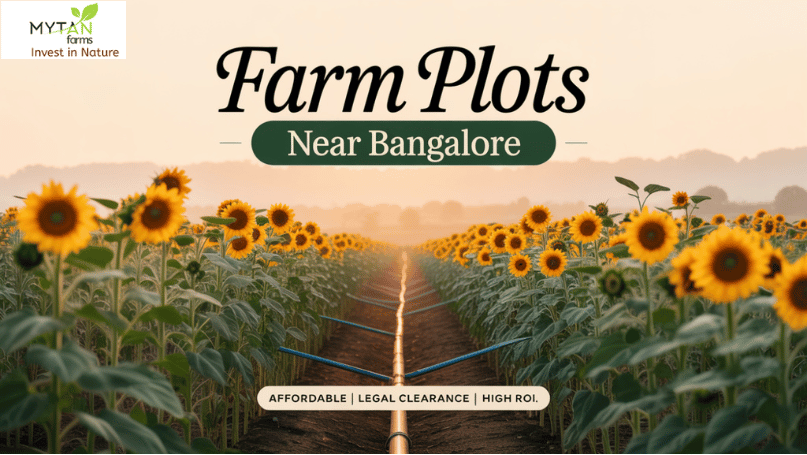 Farm Plots Near Bangalore What to Look for Before Buying