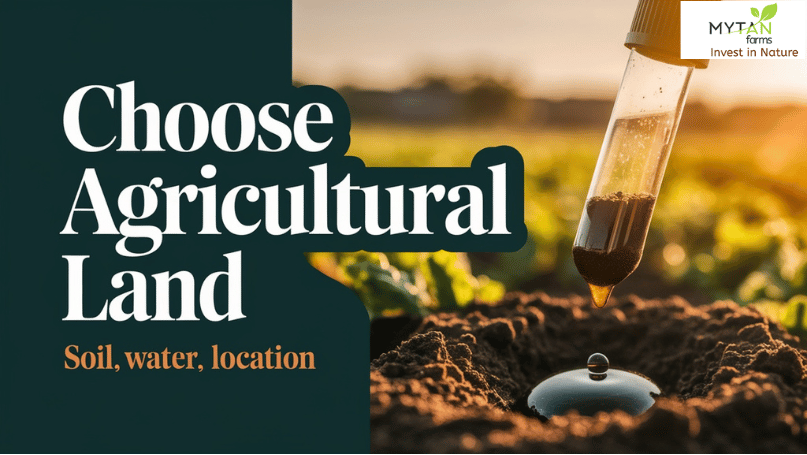 How to Choose the Perfect Agricultural Land for Farming