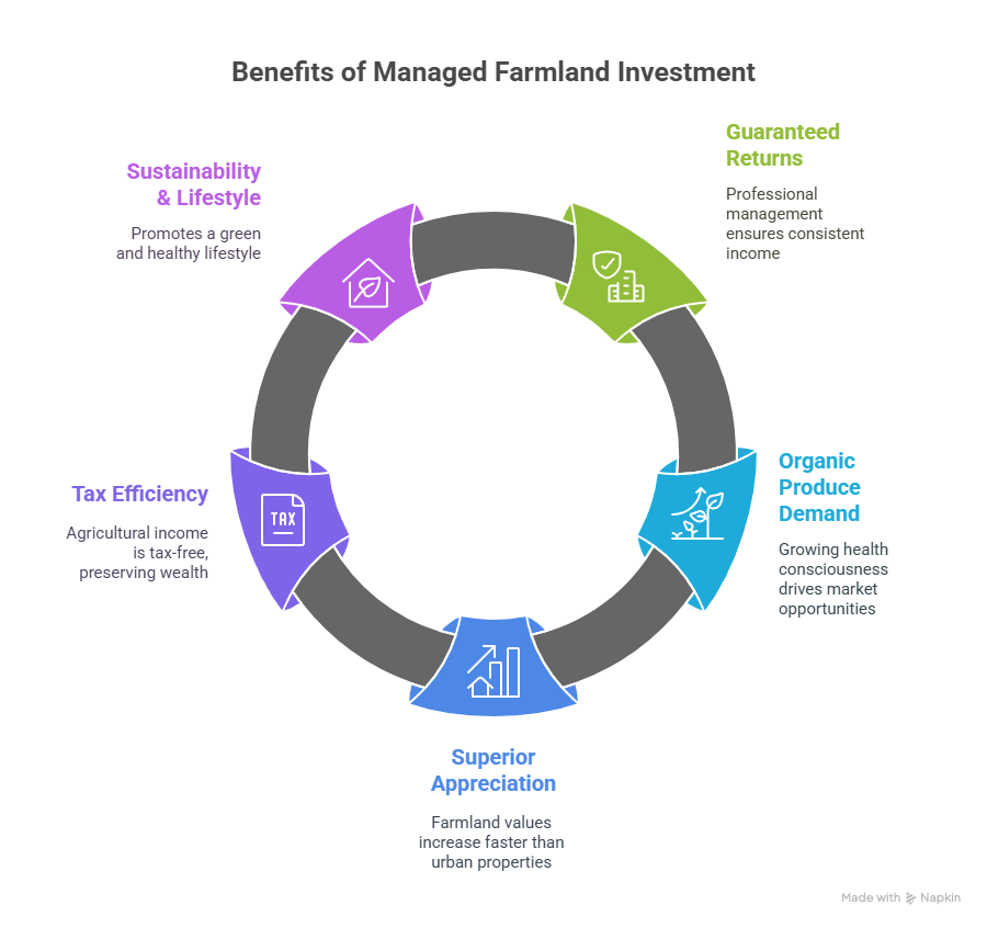Top 5 Benefits of Investing in Managed Farmland Near Bangalore