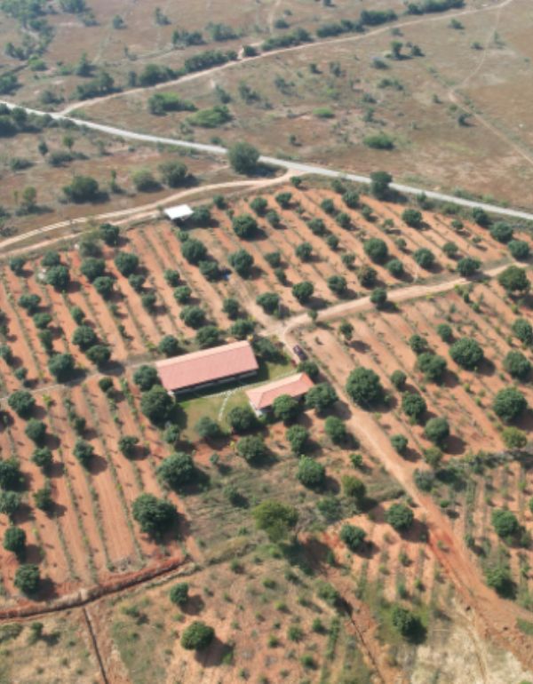 Farmland investment consultation in Bangalore with Mytan Farms