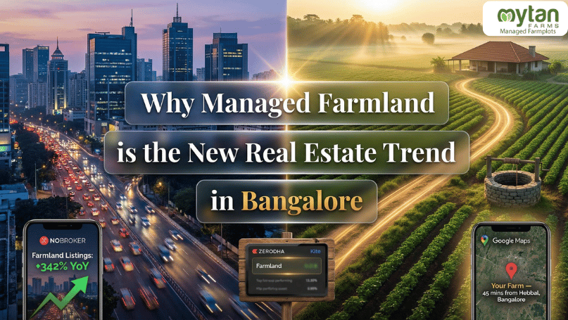 Why Managed Farmland is the New Real Estate Trend in Bangalore