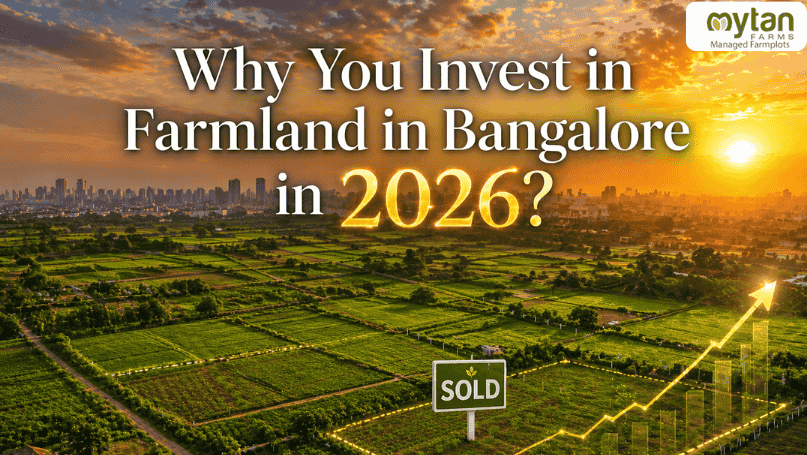 Why You Invest in Farmland in Bangalore in 2026?
