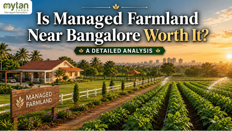 Buy Farmland in Bangalore A Complete Investment Guide for 2026 (1)