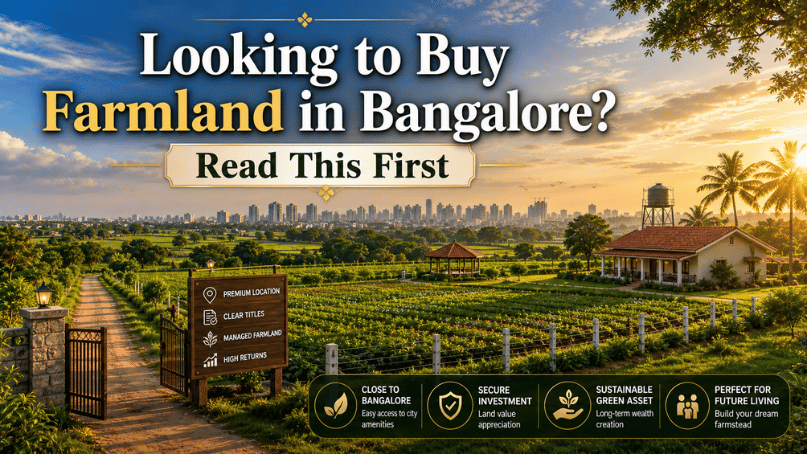 Looking to Buy Farmland in Bangalore? Read This First