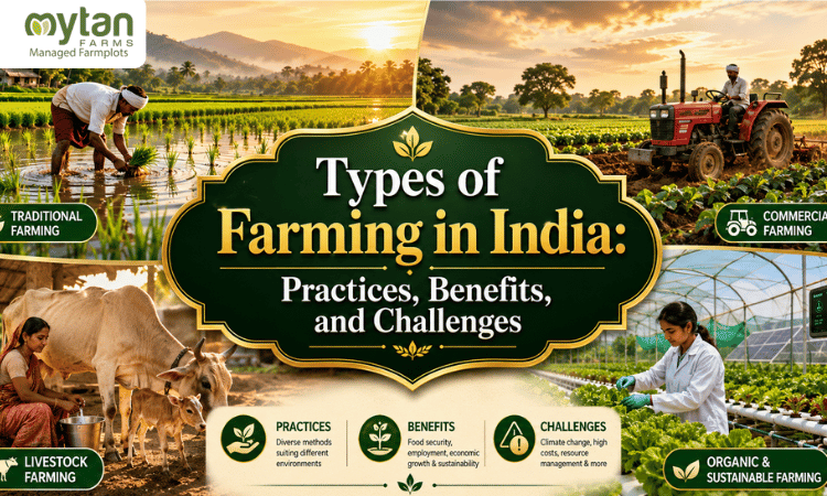 Types of Farming in India Practices, Benefits, and Challenges