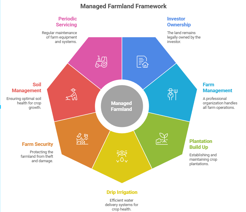 What Is Managed Farmland?