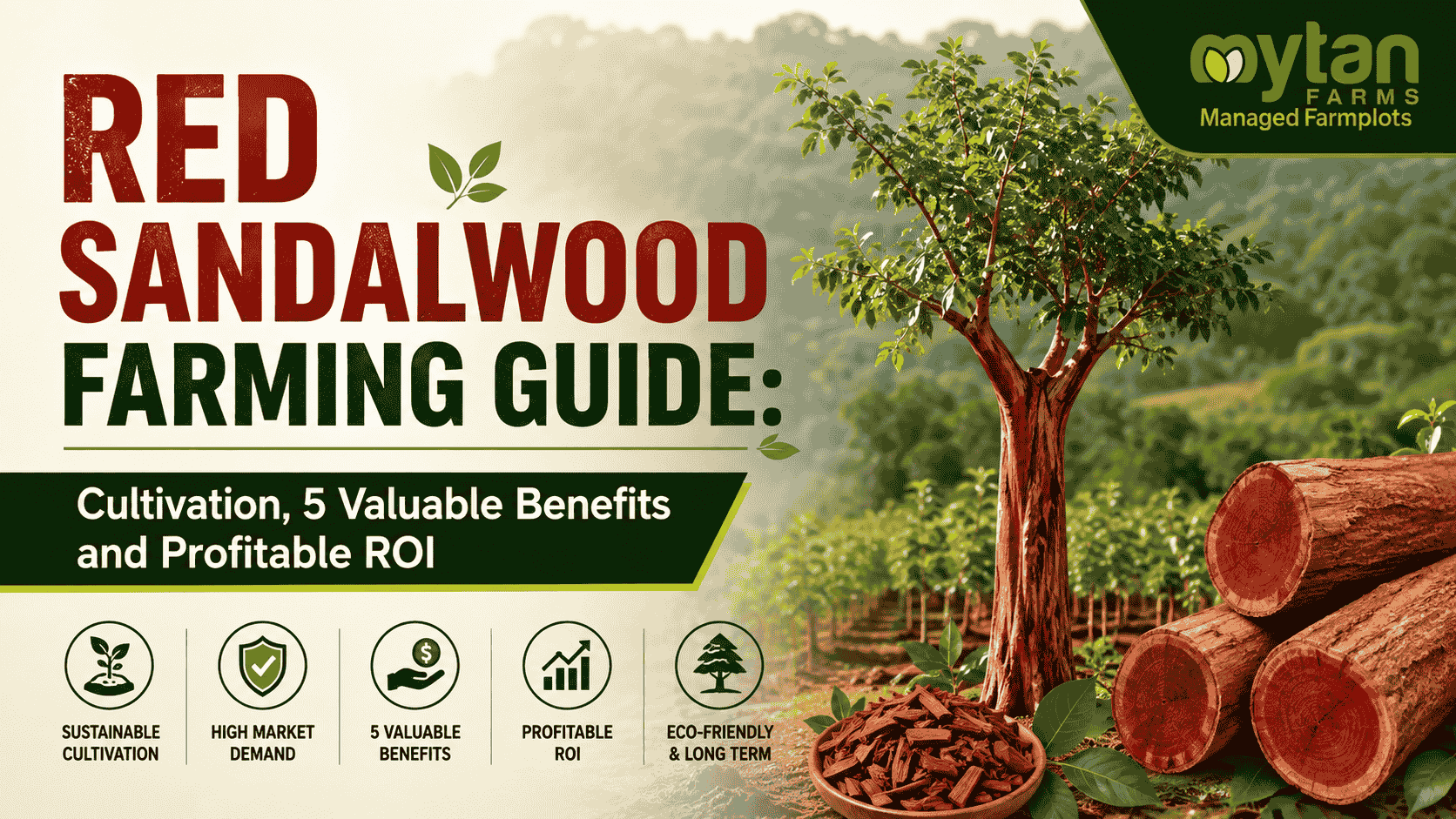 Red Sandalwood Farming Guide Cultivation, 5 Valuable Benefits and Profitable ROI