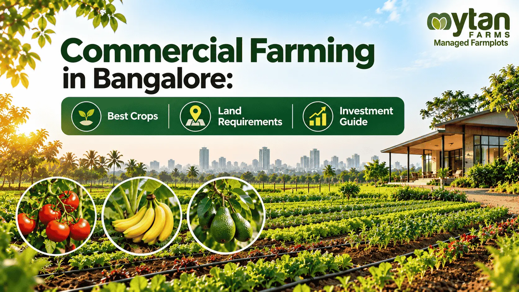Commercial Farming in Bangalore Best Crops, Land Requirements and Investment Guide